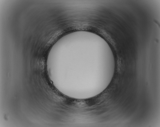 X0000100880113200807111352