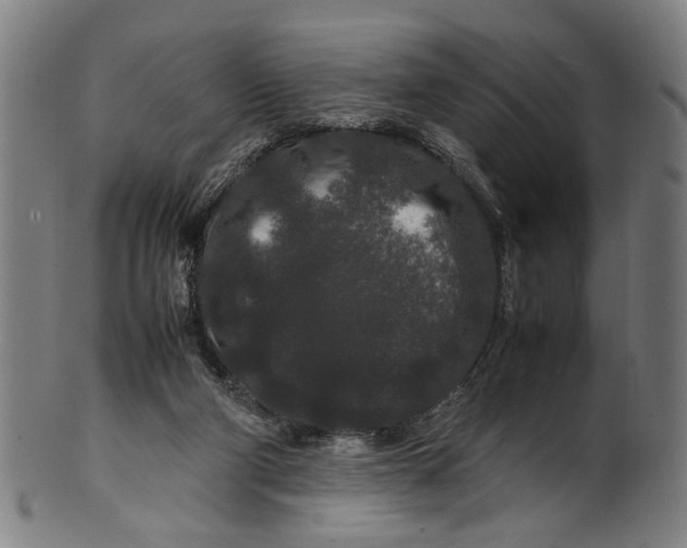 X0000100880114200807111352