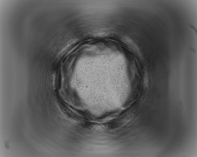 X0000100880115200807111352