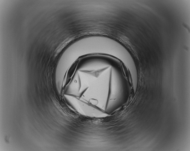 X0000100880116200807111352