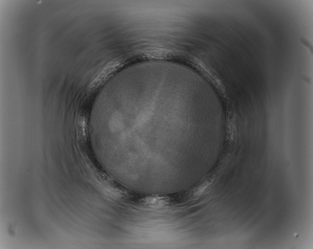 X0000100880117200807111352