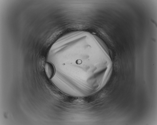 X0000100880119200807111352