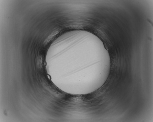 X0000100880120200807111352