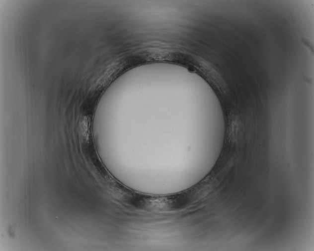 X0000100880121200807111352