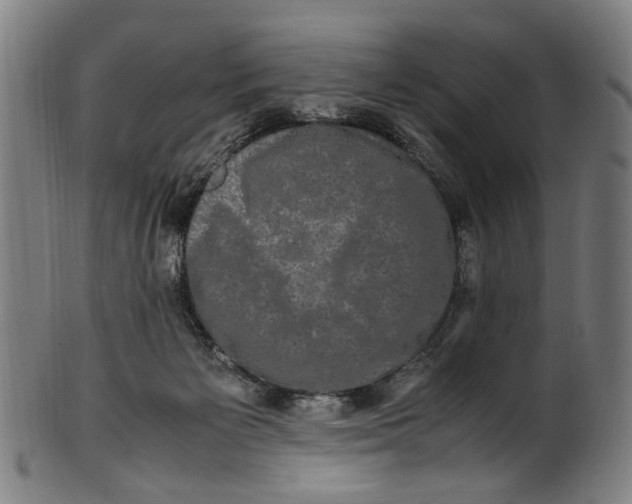 X0000100880125200807111352