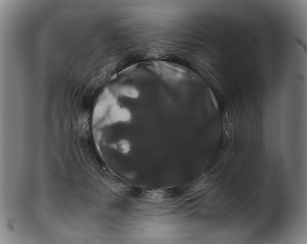 X0000100880127200807111352