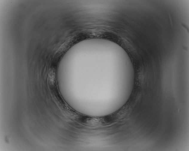 X0000100880129200807111352