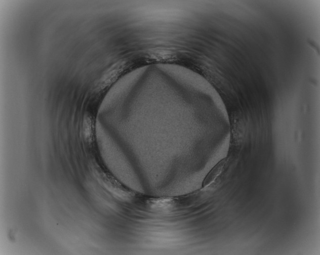 X0000100880132200807111352