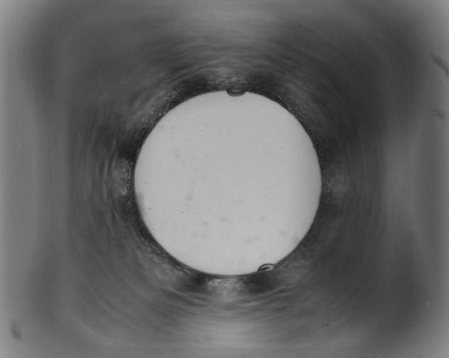 X0000100880133200807111352