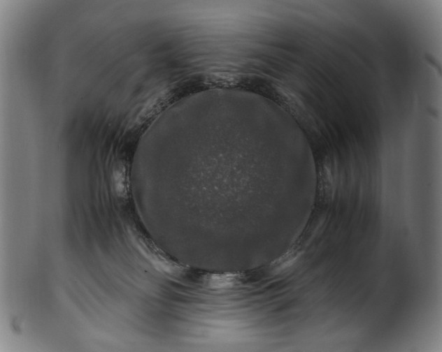 X0000100880134200807111352