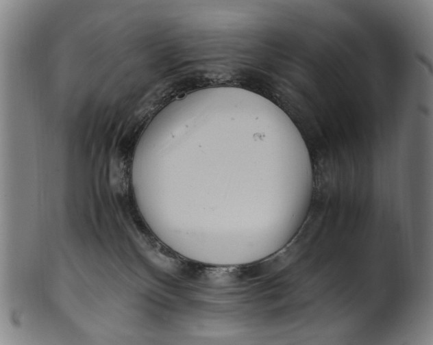 X0000100880136200807111352