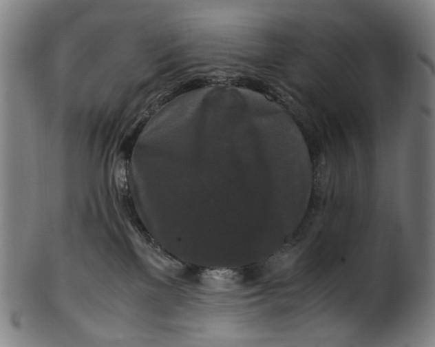 X0000100880137200807111352