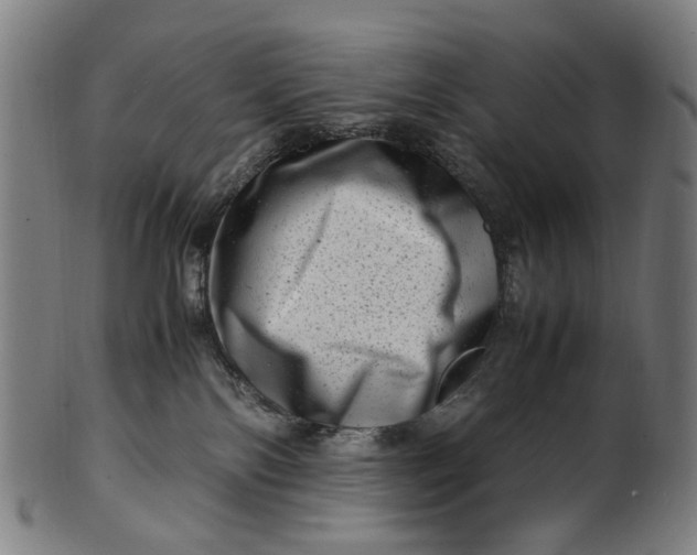 X0000100880138200807111352