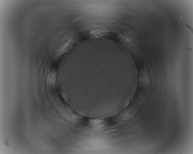 X0000100880139200807111352