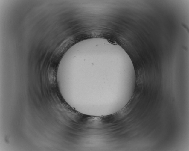 X0000100880140200807111352