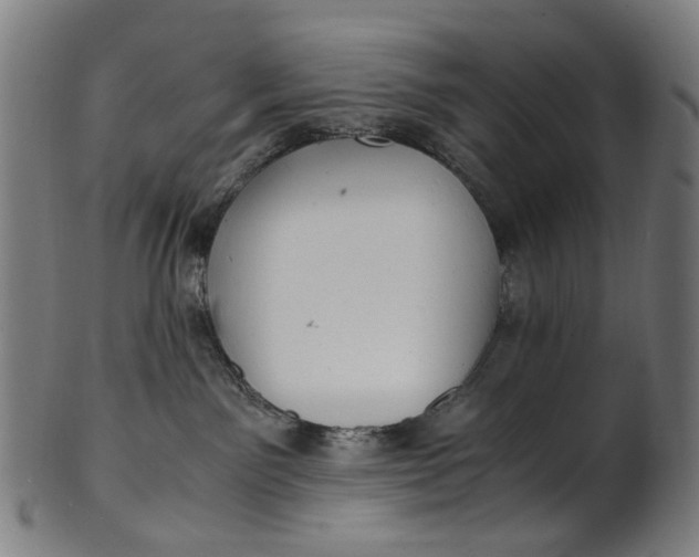 X0000100880141200807111352