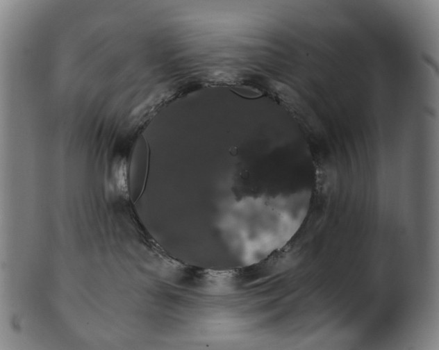 X0000100880143200807111352