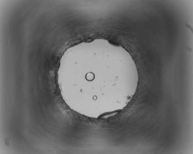 X0000100880144200807111352