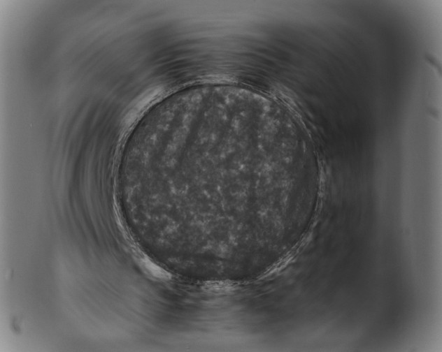 X0000100880145200807111351