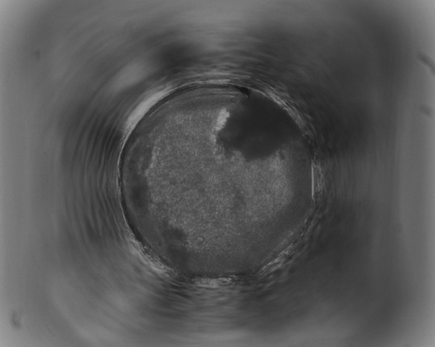 X0000100880147200807111351