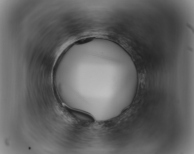 X0000100880148200807111351