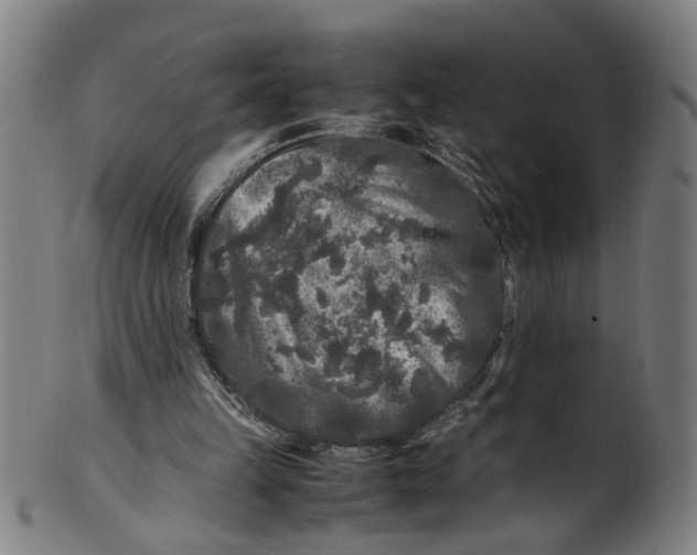 X0000100880149200807111351