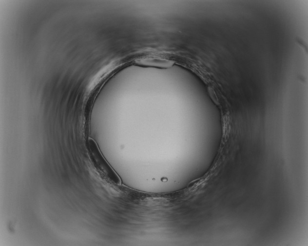 X0000100880150200807111351