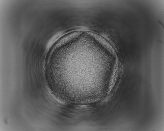 X0000100880151200807111351