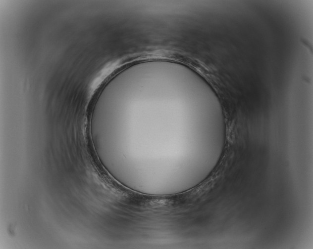 X0000100880152200807111351