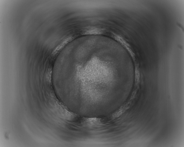 X0000100880153200807111351