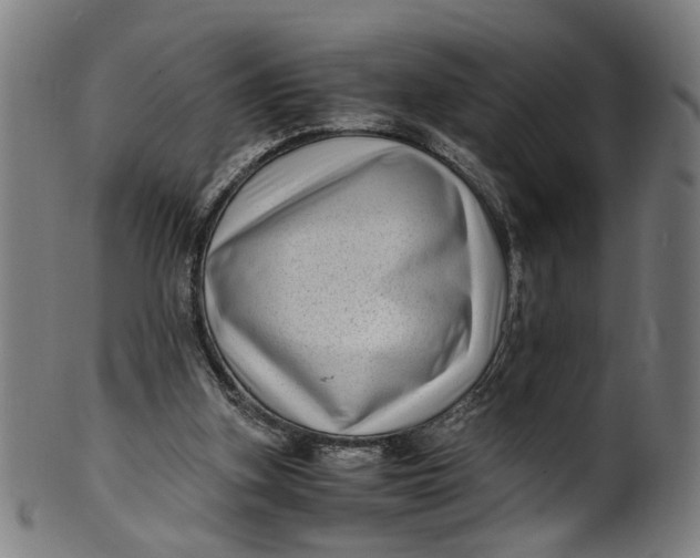 X0000100880155200807111351