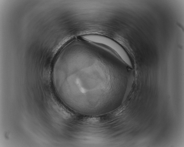 X0000100880156200807111351