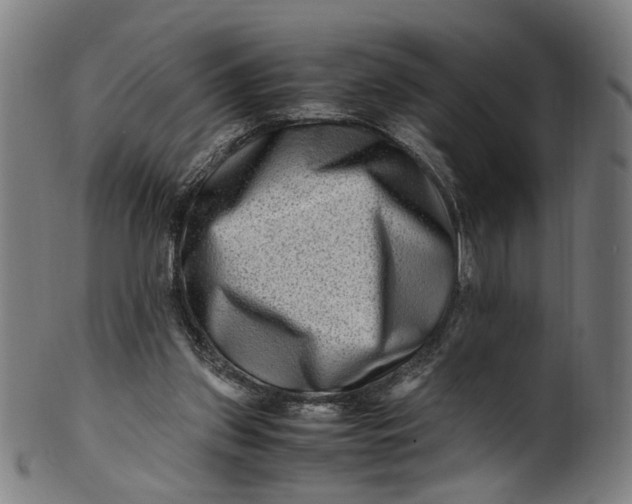 X0000100880157200807111351