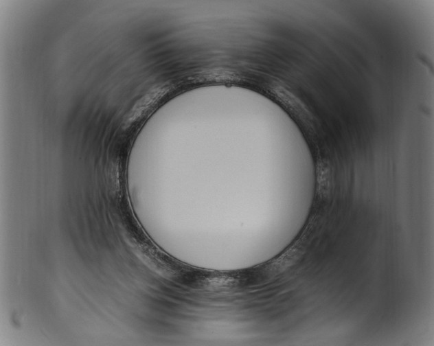 X0000100880158200807111351