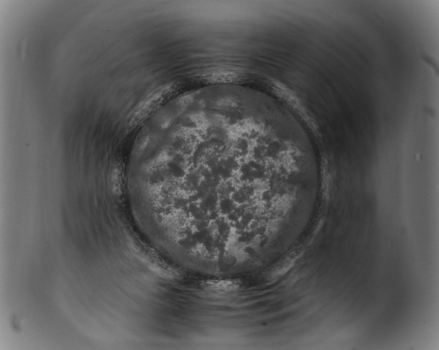 X0000100880161200807111351