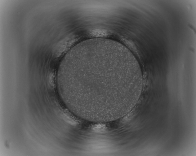 X0000100880162200807111351