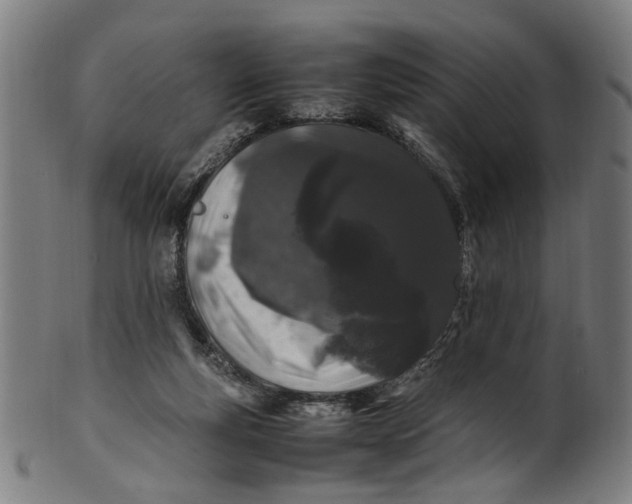 X0000100880163200807111351