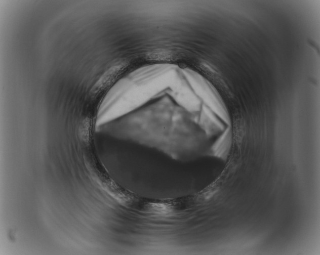 X0000100880167200807111351