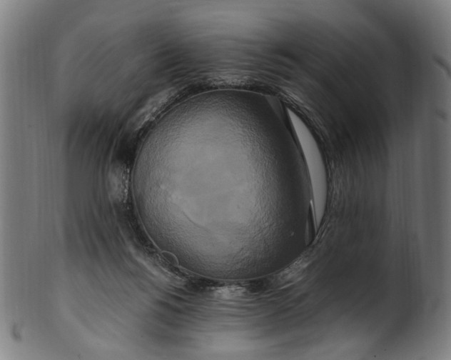 X0000100880168200807111351