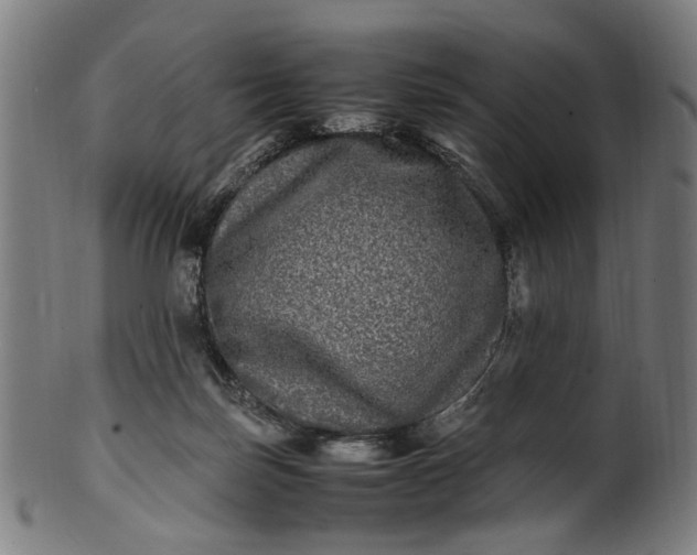 X0000100880171200807111351