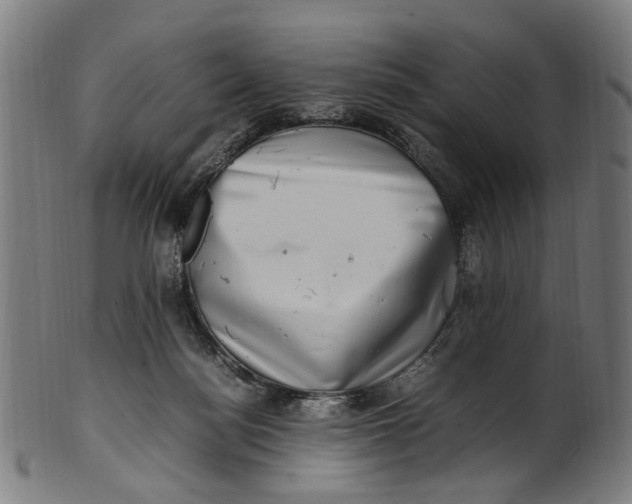 X0000100880172200807111351