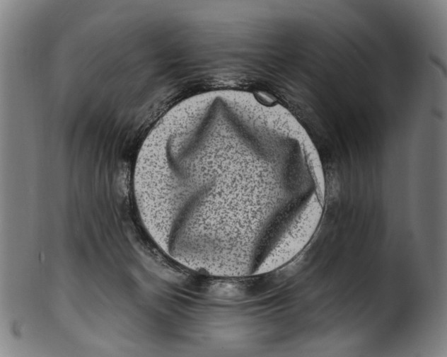 X0000100880174200807111351