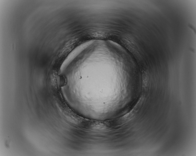 X0000100880175200807111351