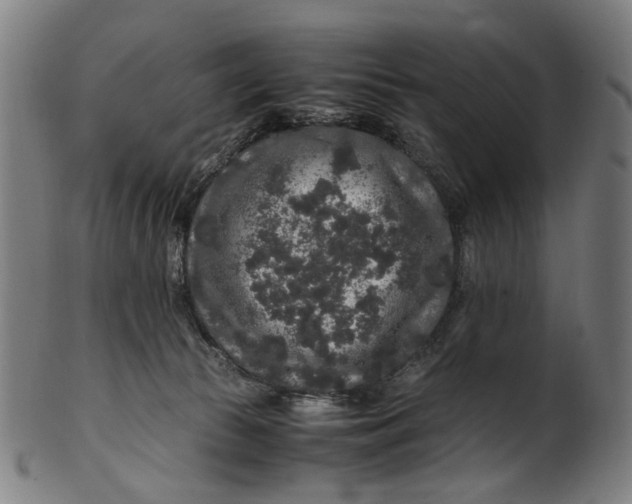 X0000100880177200807111351