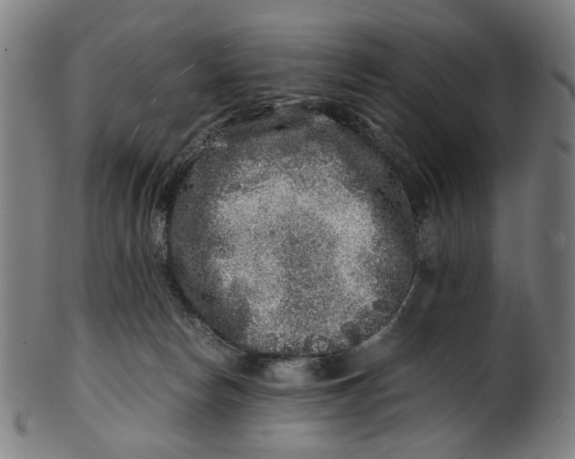 X0000100880178200807111351