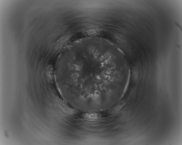 X0000100880181200807111351