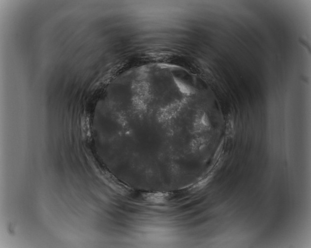 X0000100880182200807111351