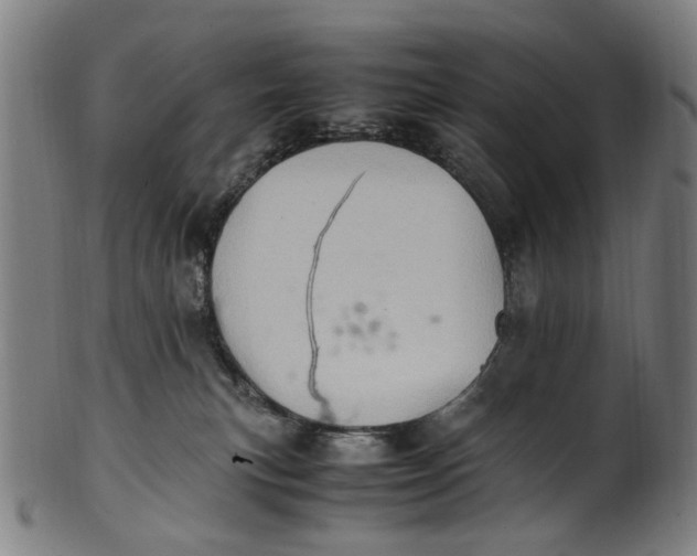 X0000100880183200807111351