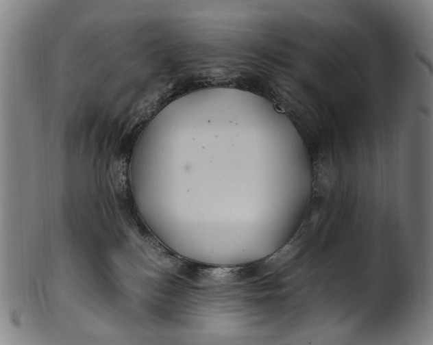 X0000100880184200807111351