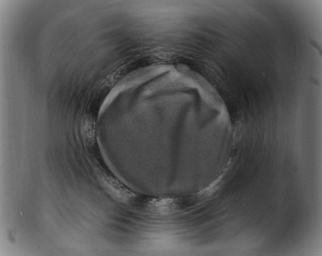 X0000100880186200807111351